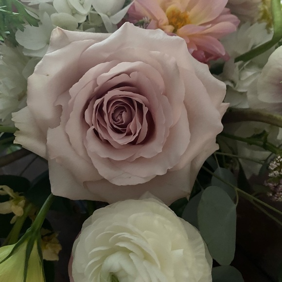 Meet your Posher, Elizabeth - Picture 4 of 5